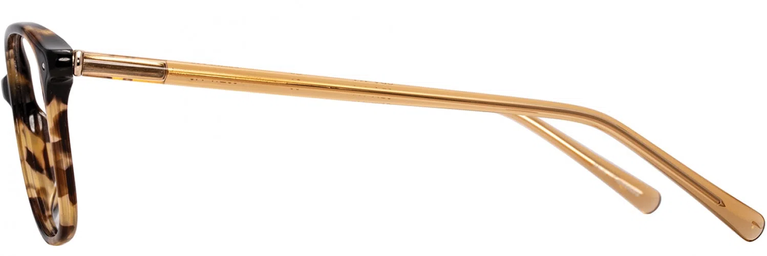 Cote DAzur CDA414 Eyeglasses - view 8